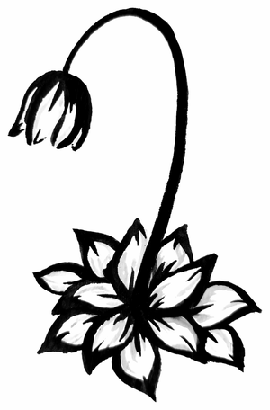 A line drawing of a closed Arthis flower: a delicate stem curves in a shepherd’s crook, bowing a tightly folded bloom of five petals downward over a rosette of leaves.